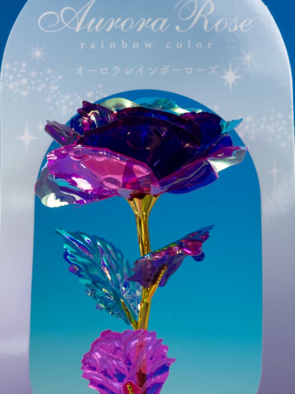 レビュー 100均キャンドゥ＆セリア「シックローズ」シリーズ