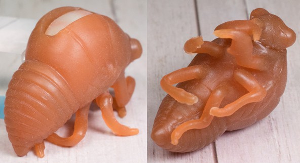 レビュー カプセルトイ「むにむに！メダカボール」「セミの抜け殻