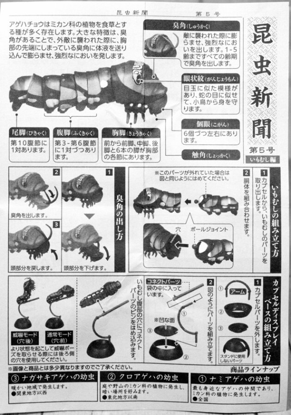 レビュー バンダイガシャポン いきもの大図鑑 いもむし ふぃぎゅる