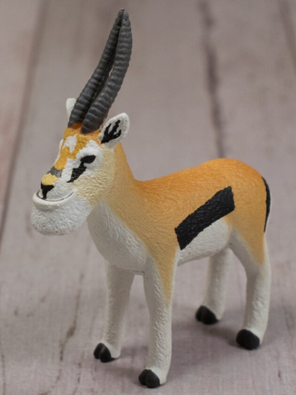 http blog livedoor jp nobuno88 archives 1078359546 html