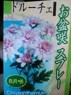 お盆咲 Blog 自然と四季を楽しむ