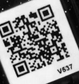 妖怪メダルバスターズ Bメダル トゲニャンのqrコード ようかいひみつきち