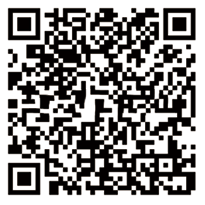 妖怪メダルバスターズ Bメダル 影オロチのqrコード ようかいひみつきち