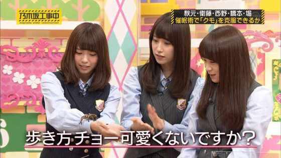乃木坂46 乃木中の 催眠術回 ってガチでかかってたのか問題 乃木坂46まとめたいよ