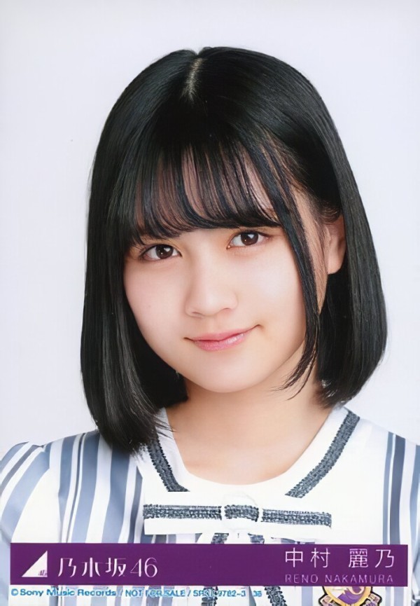 たぬき 希少 中村麗乃 初期 2017～2019 フルコンプ 乃木坂46 3期生 生写真 アイドル