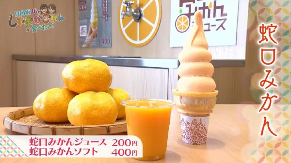 静岡県日本平ロープウェイ【みかん】日本平 門前の恵み たいらぎ : 乃木旅