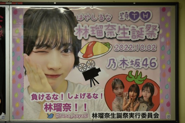 林瑠奈 駅ポスター(生誕/卒業/応援)まとめ (写真募集中) : 乃木旅