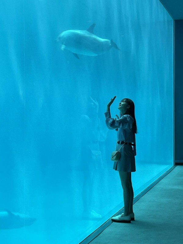 愛知県名古屋港【水族館】名古屋港水族館 : 乃木旅