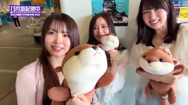 香川県昭和町【水族館】市場水族館 : 乃木旅