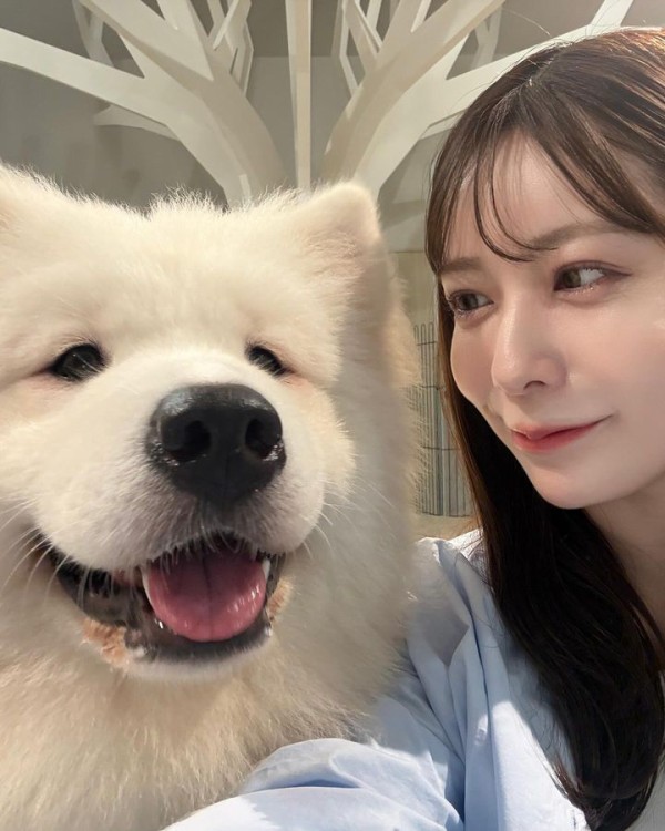 大阪府四ツ橋【犬カフェ】Samoyed café AL サモエドカフェ アル大阪北