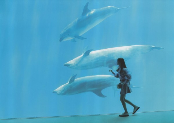 新品未開封　名古屋港水族館 Tシャツ L 遠藤さくら　缶バッジ付き ❗️新品未開封❗️名古屋港水族館 遠藤さくら着用 オリジナルTシャツ