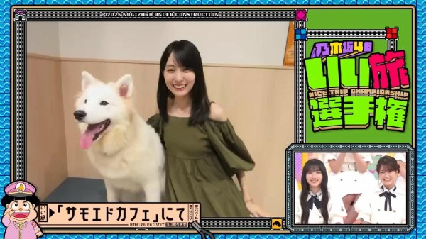 神奈川鎌倉【犬カフェ】サモエドカフェ アル 鎌倉店&BICHON CAFE POM