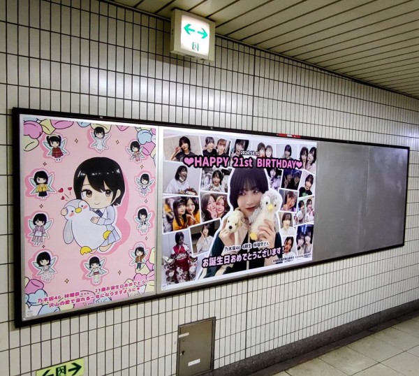 林瑠奈 駅ポスター(生誕/卒業/応援)まとめ (写真募集中) : 乃木旅