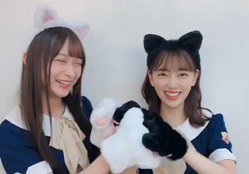なんじゃこれｗｗｗ 鈴木絢音 堀未央奈の猫パンチがぐうかわなんだがｗｗｗｗｗ 乃木坂46まとめ 乃木りんく