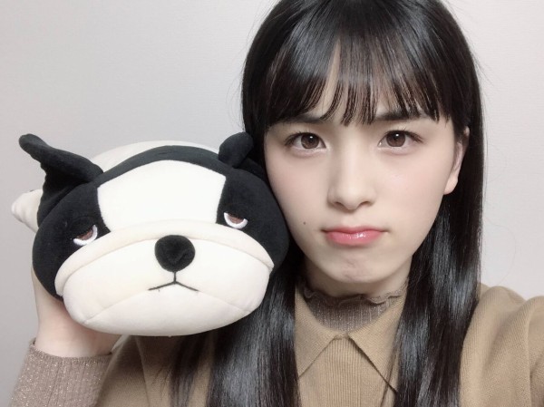 乃木坂46 乃木メンの持ってるぬいぐるみ どれがすこ 乃木坂46まとめ 乃木りんく