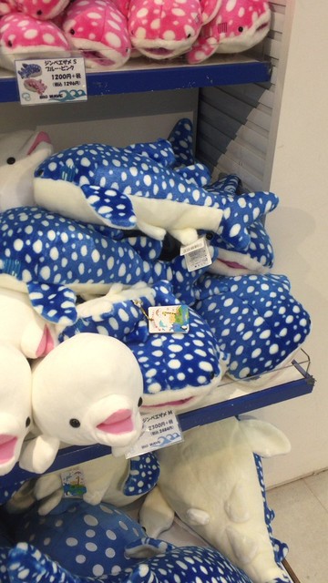 欅坂46 志田愛佳と渡邉理佐が話していたシーパラにいるアオコのぶつぶつverってどんな感じのものなの 欅って 何 欅坂46まとめ