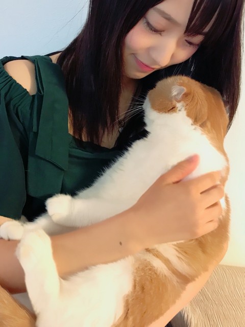 欅坂46 １０月６日 トム ということで 菅井友香が愛猫トムの可愛い写真をブログに掲載する 欅って 何 欅坂46まとめ