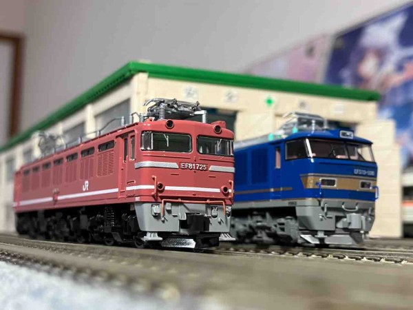 TOMIX EF81 600 JR貨物更新色 入線 : 夏島鉄道