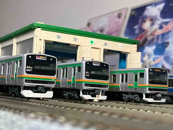 KATO E231系 東海道線仕様(湘南新宿ライン) 入線 : 夏島鉄道