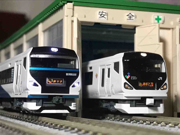 KATO E257系2000番台 踊り子 入線 : 夏島鉄道