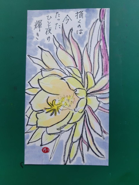 妻の絵手紙 月下美人 : のじさんの徒然草