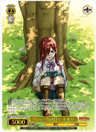 WS】『FAIRY TAIL』SSP5種公開！「宝瓶宮のアクエリアス」再録