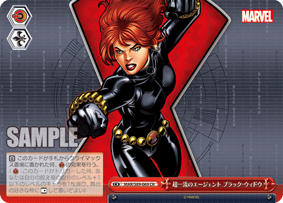 WS】MARVEL 「ワカンダの王 ブラックパンサー」「不屈のヒーロー