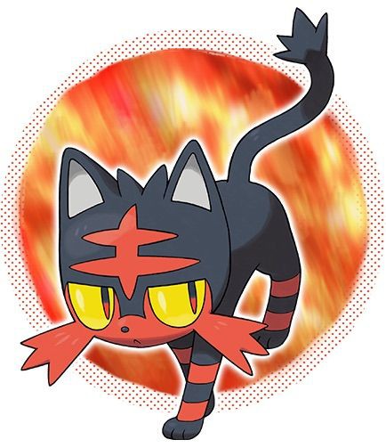 サンムーン 御三家とか新情報 キマシタワーーーーーー ぽけのん