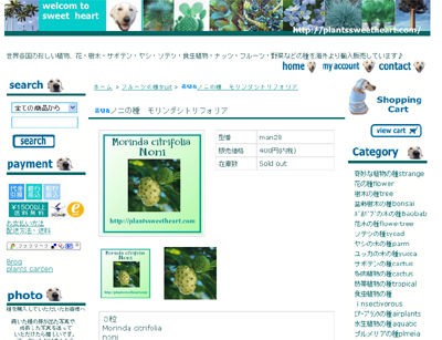 ノニとはモリンダシトリフォリアという木です ノニジュース 効果 ブログへようこそ ノニジュースの効果やお得情報を大公開