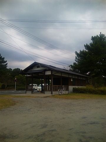 夢に散る青いバラのトゲ 薩摩湖に残るパラの香 鹿児島 シーサイド 蒼い潮風日記