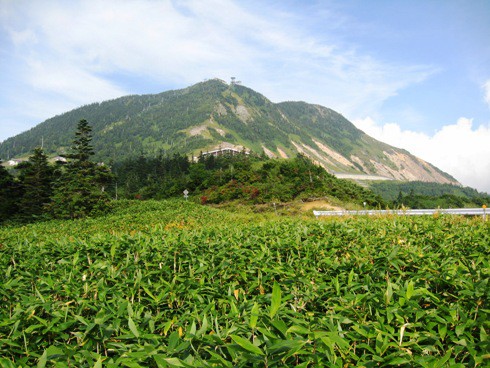 志賀高原は紅葉です 呑ん子の放浪記