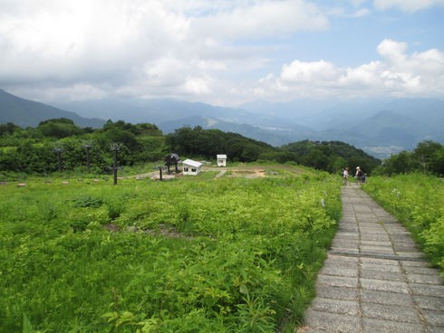 白馬alps花三昧13 白馬五竜高山植物園 呑ん子の放浪記