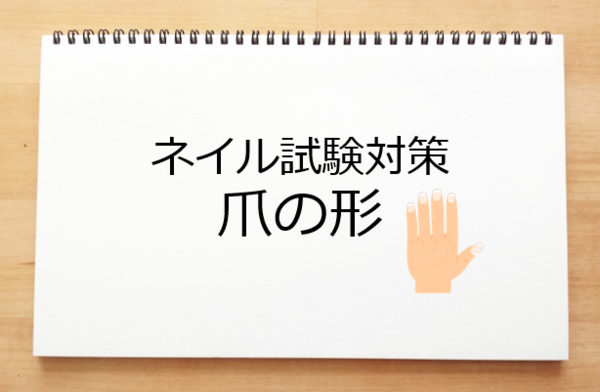 爪の形 ネイル検定試験対策 ネイルのお勉強たん