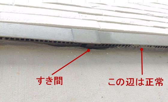 ﾀﾏﾎｰﾑ 基礎と建物の隙間 知恵ののたん De にゃんげるげってぃ っ D っ ﾊｧﾊｧ