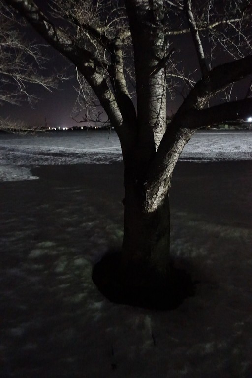 野外活動 まだ雪に埋もる夜のサイクリングロードで缶ベキューとホットウイスキー ステレオカセットキングダム