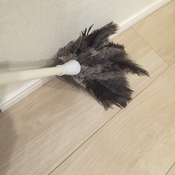 エコで見た目も可愛い ダチョウ毛のはたき で楽チンほこり掃除 のんびりシンプルライフ Non Troppo