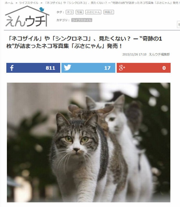 ネコザイルと一緒に Go Go 猫写真家 沖 昌之のブログ 野良ねこちゃんねる