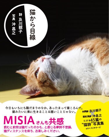 発売中の 猫から目線 緒方恵美さんの朗読12 あの子は泣きながら背を向ける 猫写真家 沖 昌之のブログ 野良ねこちゃんねる