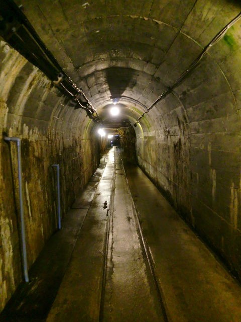 尾去沢鉱山の自然銅(父親は坑道掘りでした) 秋田時間.jp】第1回:尾去沢鉱山旅行記 「歴史の重みとロマンに浸る異