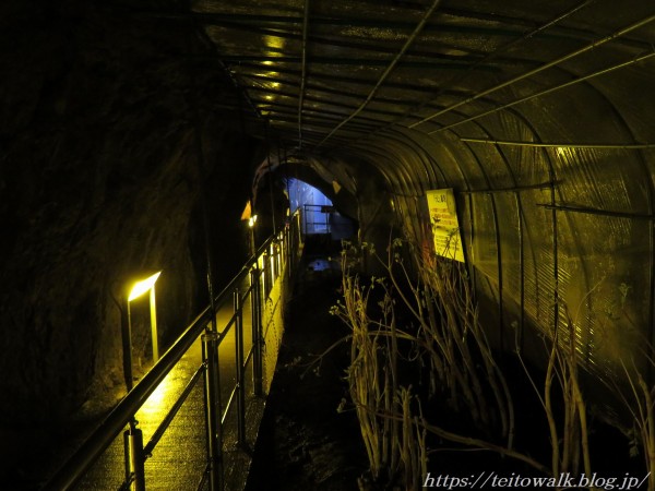 金塊などもある珍スポット系観光鍾乳洞「飛騨大鍾乳洞」 : 帝都