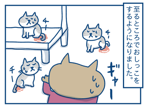 猫の尿路結石の話 : 各駅停車のノミさん