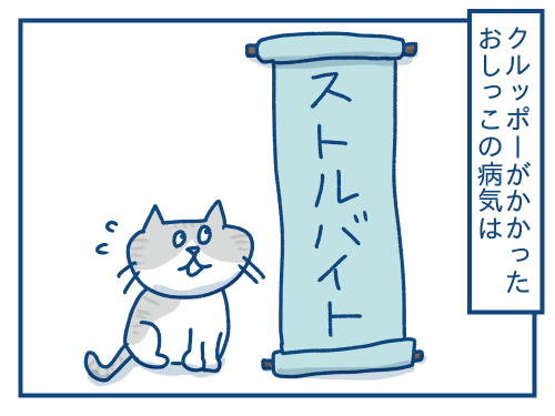 猫の尿路結石の話 : 各駅停車のノミさん