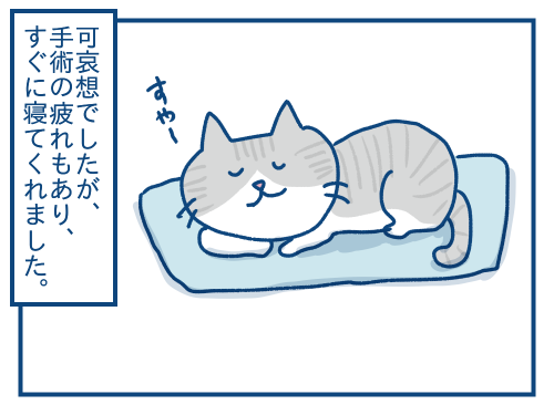 猫の避妊去勢手術の話 その６ : 各駅停車のノミさん