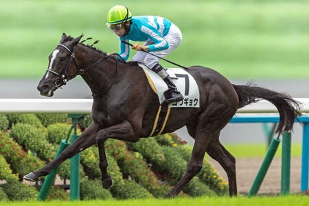 2歳世代2頭目の新馬勝ち！ : Feel NOC !!