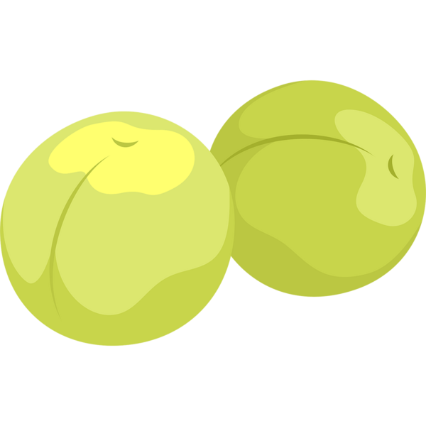 果肉赤い梅 露茜 の収穫始まる みなべ町 紀伊民報 忙人用 農業ニュースまとめ のまとめ