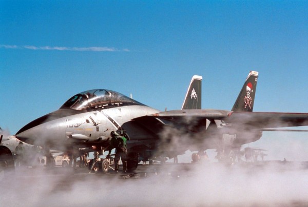 F14 戦うネコちゃん 気ままにぶろぐ