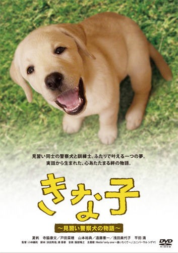 警察犬きな子の親類犬のロン君です れお君と庭の花 Fromたけちゃんマン 警察犬きな子の親類犬のロン君です れお君と庭の花 Fromたけちゃんマン
