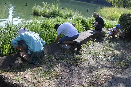 釣れなくても 勇気百倍 Npoエッジ