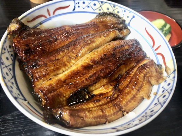 ぬまつーグルメ】うなぎが食べたい。鰻特集 : 沼津つーしん