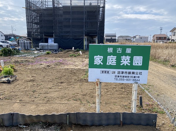 自分で育てて食べてみよう！沼津市振興公社の家庭菜園ボシュウしてる 